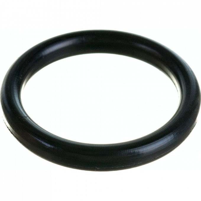 Уплотнительное кольцо для американки RTP 21579 1576994